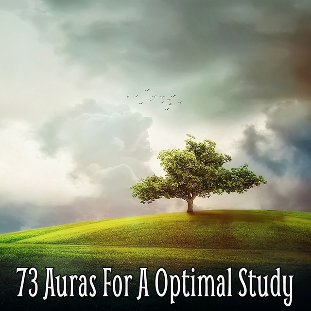 Couverture de 73 Auras For A Optimal Study