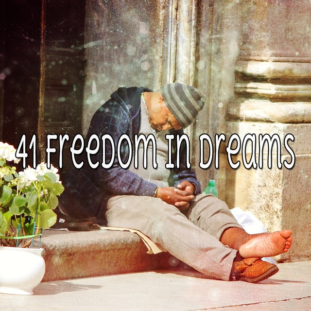 41 Freedom In Dreams