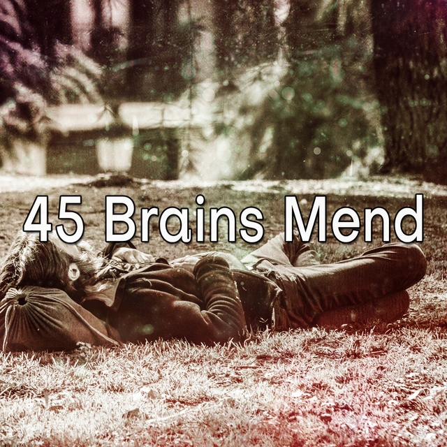 Couverture de 45 Brains Mend