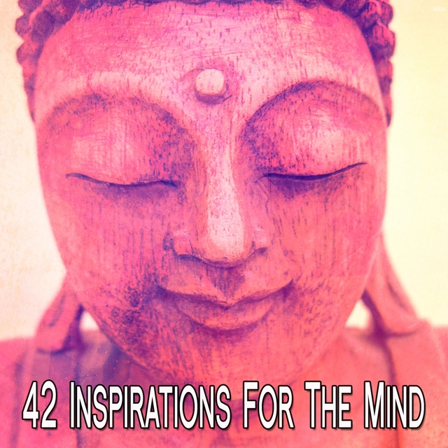 Couverture de 42 Inspirations For The Mind