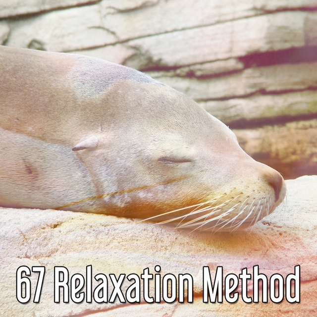 Couverture de 67 Relaxation Method