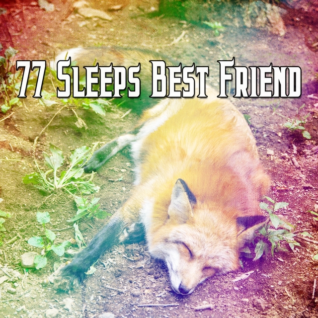 Couverture de 77 Sleeps Best Friend