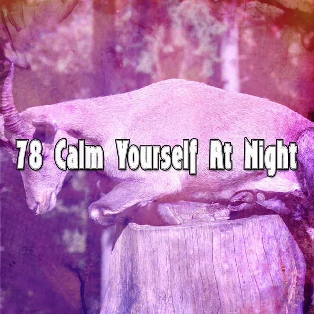 78 Calm Yourself At Night