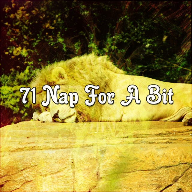 Couverture de 71 Nap For A Bit