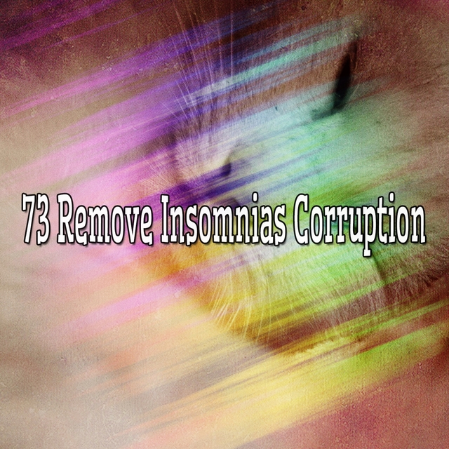 Couverture de 73 Remove Insomnias Corruption