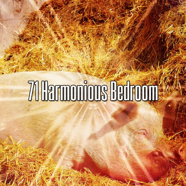 71 Harmonious Bedroom