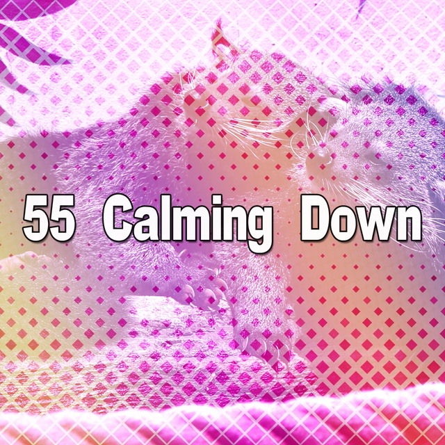 55 Calming Down