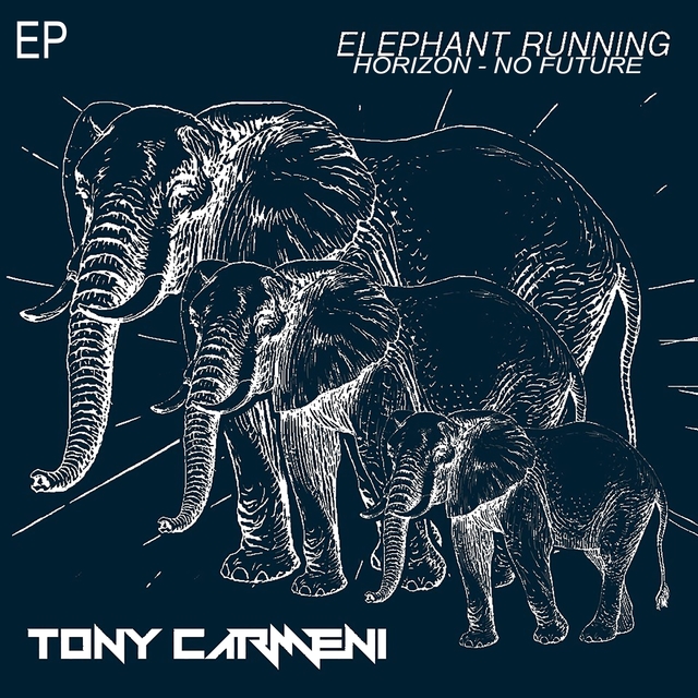 Couverture de Elephant Running