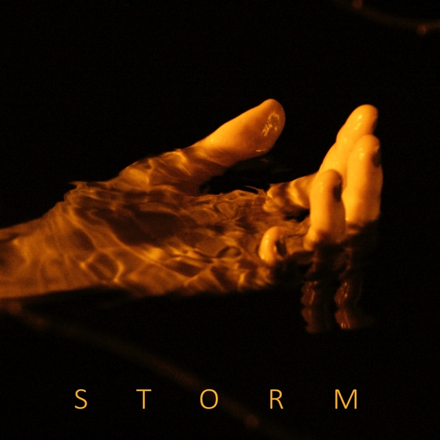 Couverture de Storm