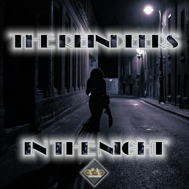 Couverture de In the Night