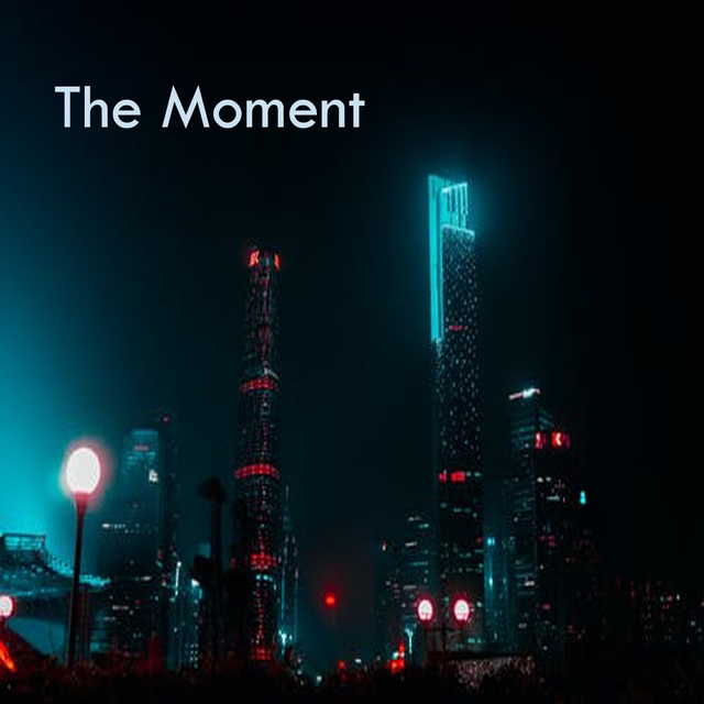 Couverture de The Moment