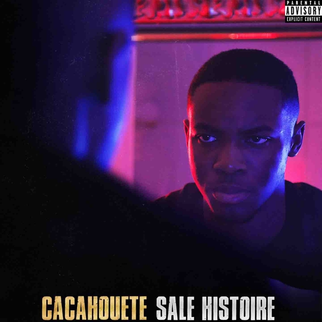 Couverture de Sale histoire