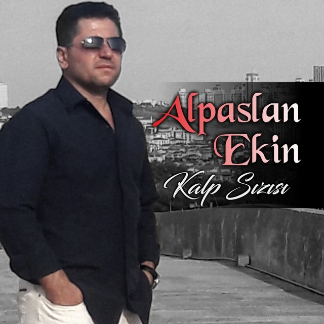 Couverture de Kalp Sızısı