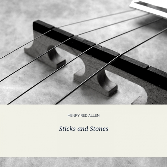 Couverture de Sticks and Stones