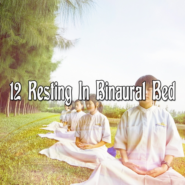 12 Resting In Binaural Bed