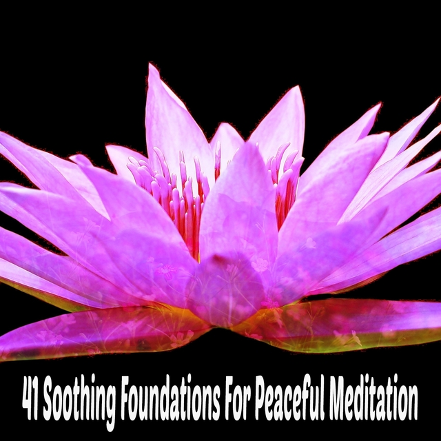 41 Soothing Foundations For Peaceful Meditation