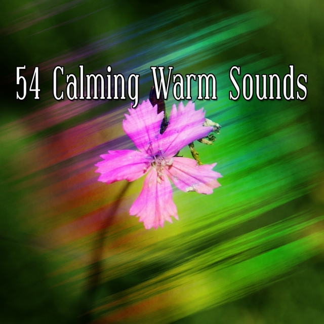 Couverture de 54 Calming Warm Sounds