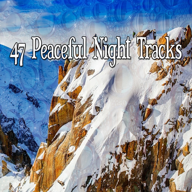 Couverture de 47 Peaceful Night Tracks