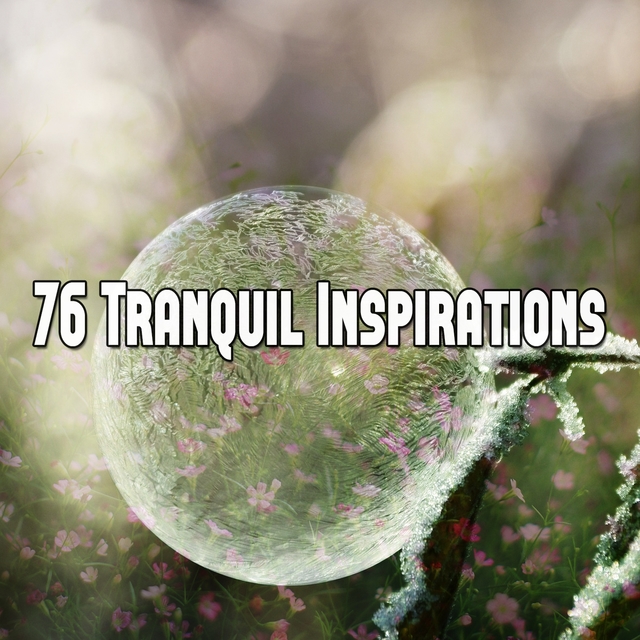 Couverture de 76 Tranquil Inspirations