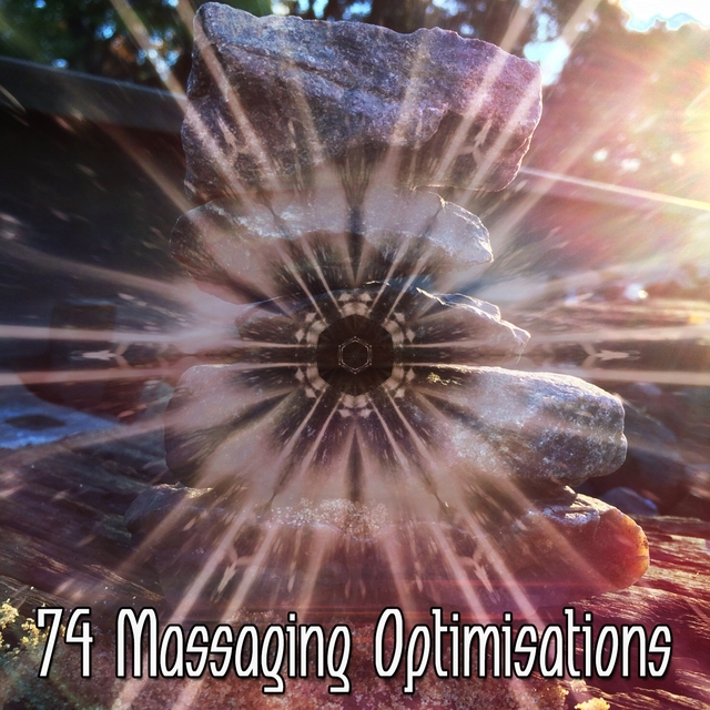 Couverture de 74 Massaging Optimisations