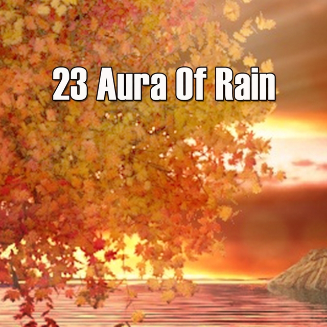 23 Aura Of Rain