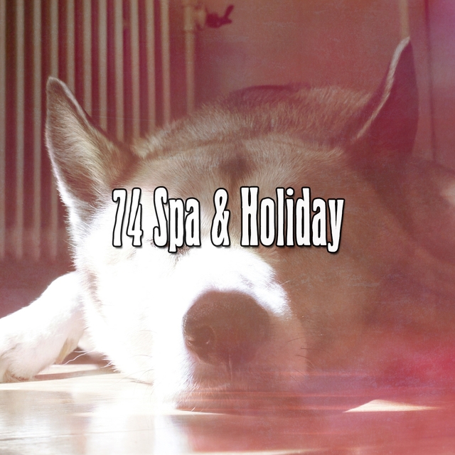 74 Spa & Holiday