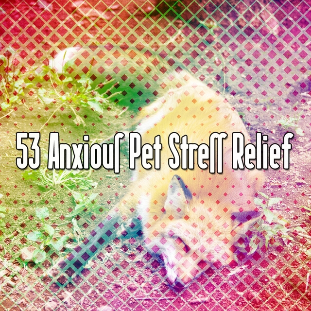 53 Anxious Pet Stress Relief