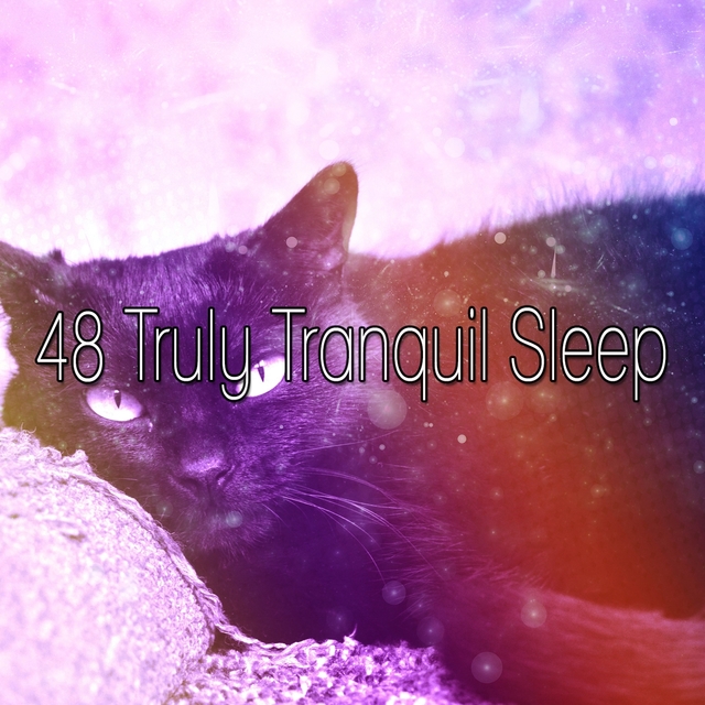 48 Truly Tranquil Sleep