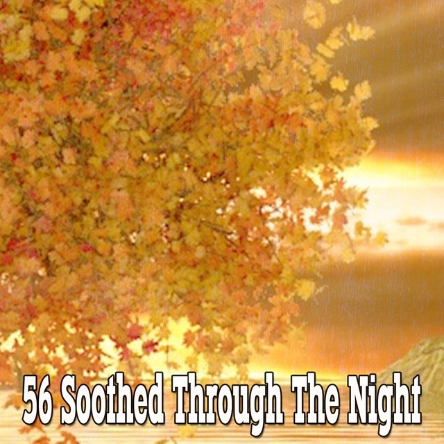 56 Soothed Through The Night