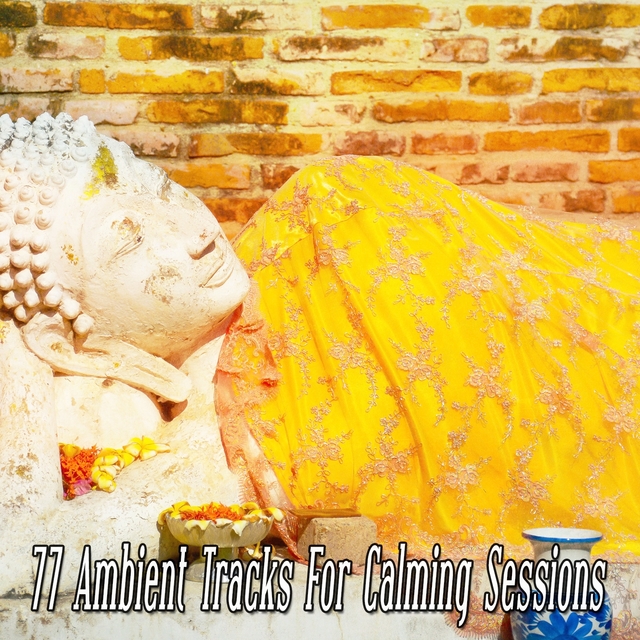 77 Ambient Tracks For Calming Sessions