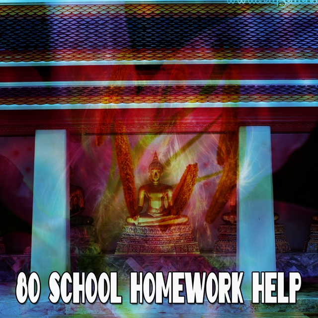 80 School Homework Help