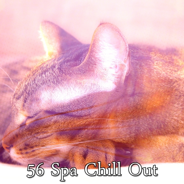 56 Spa Chill Out