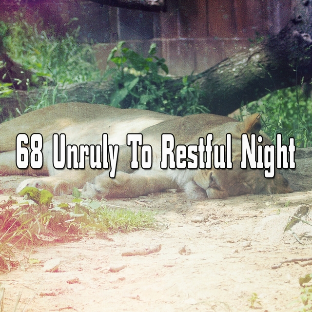 68 Unruly To Restful Night