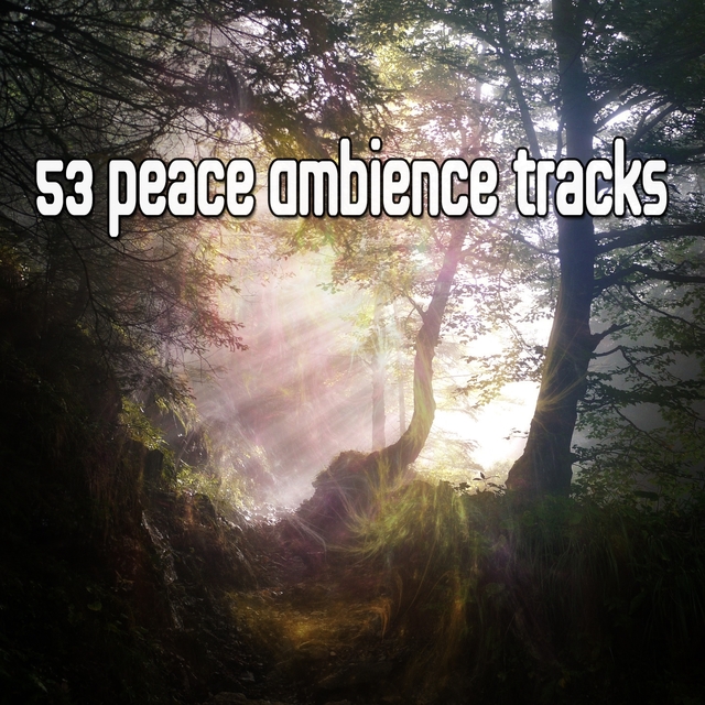 53 Peace Ambience Tracks
