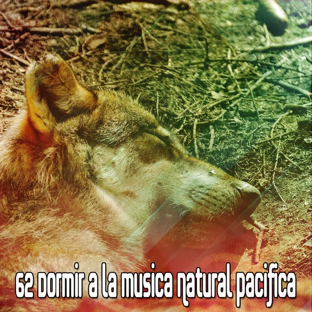 62 Dormir a la musica Natural Pacifica