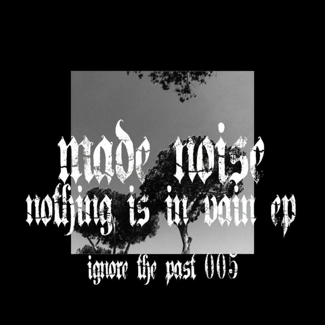 Couverture de Nothing Is in Vain - EP