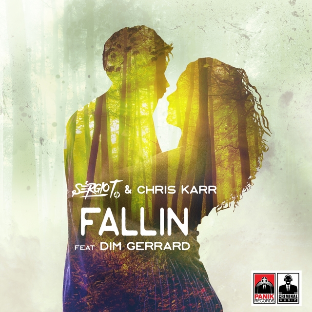 Couverture de Fallin