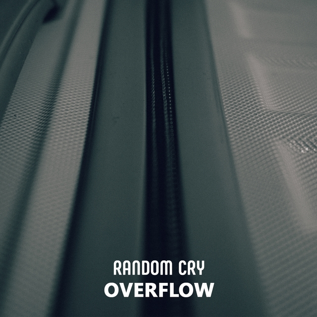 Couverture de Overflow