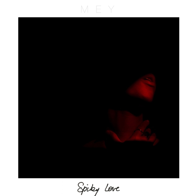 Couverture de Spiky Love