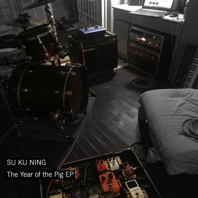 Couverture de The Year of the Pig EP