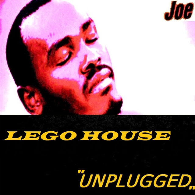 LEGO HOUSE