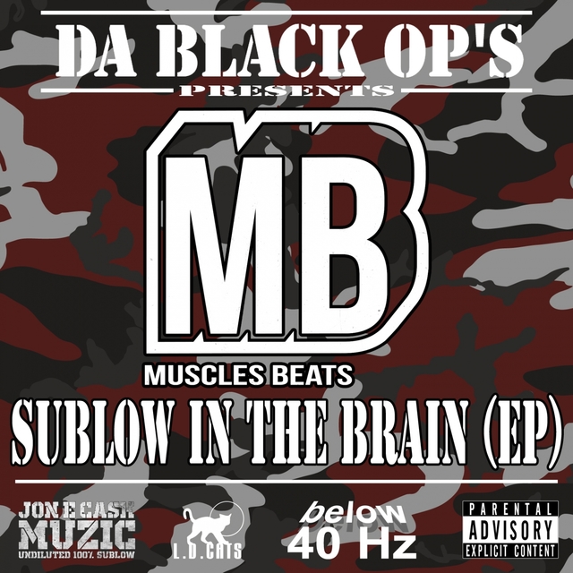 Couverture de Sublow In the Brain - EP