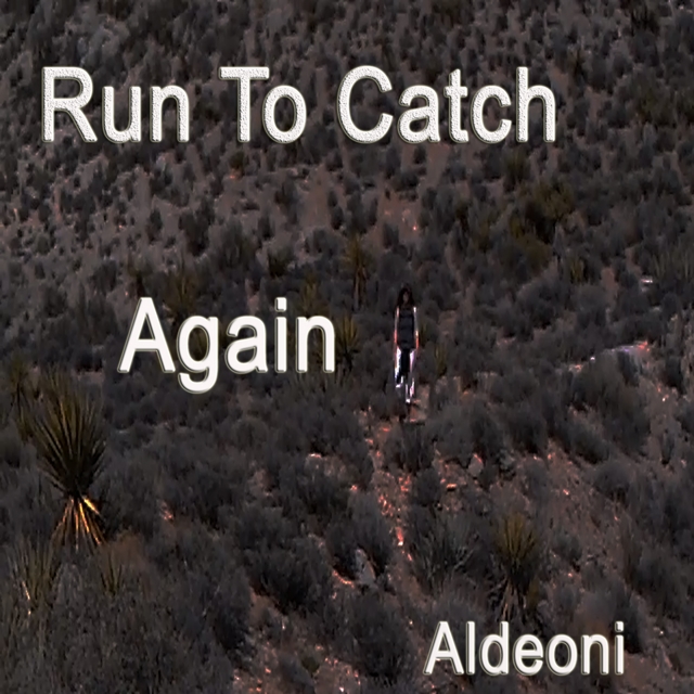 Couverture de Run To Catch Again