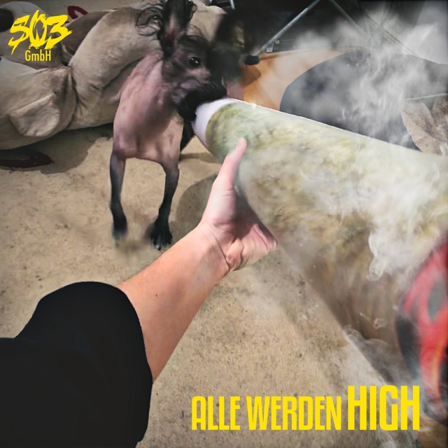 Couverture de Alle werden high