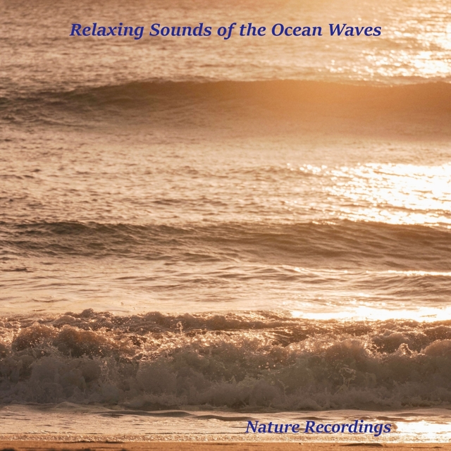 Couverture de Relaxing Sounds of the Ocean Waves