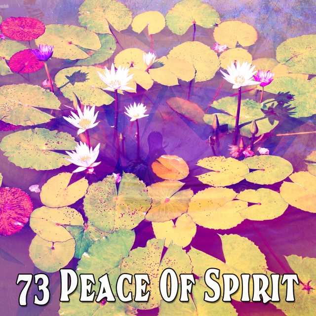 73 Peace of Spirit