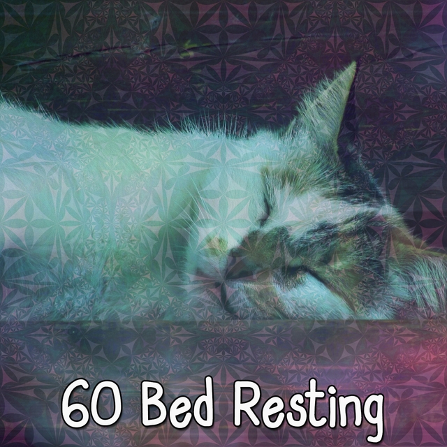 60 Bed Resting