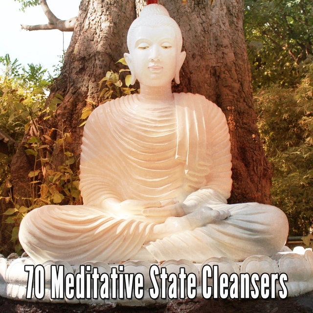 70 Meditative State Cleansers