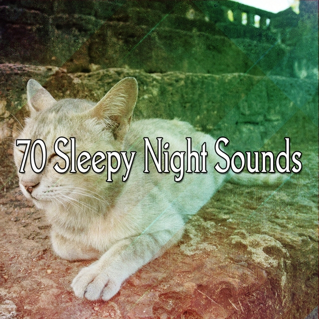 70 Sleepy Night Sounds