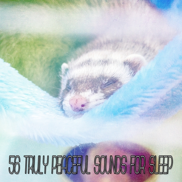 56 Truly Peaceful Sounds for Sleep